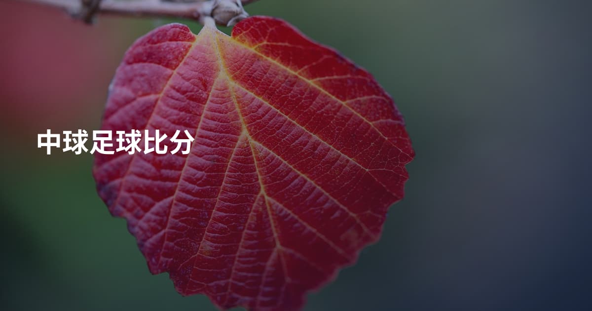 中球足球比分