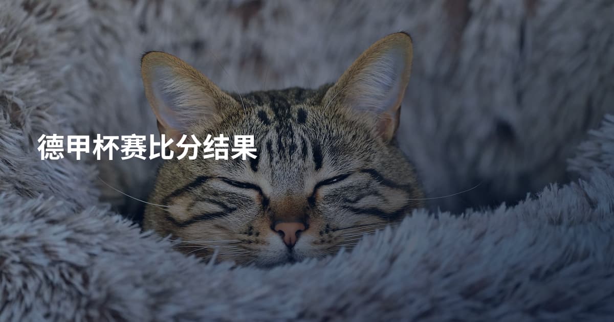 德甲杯赛比分结果
