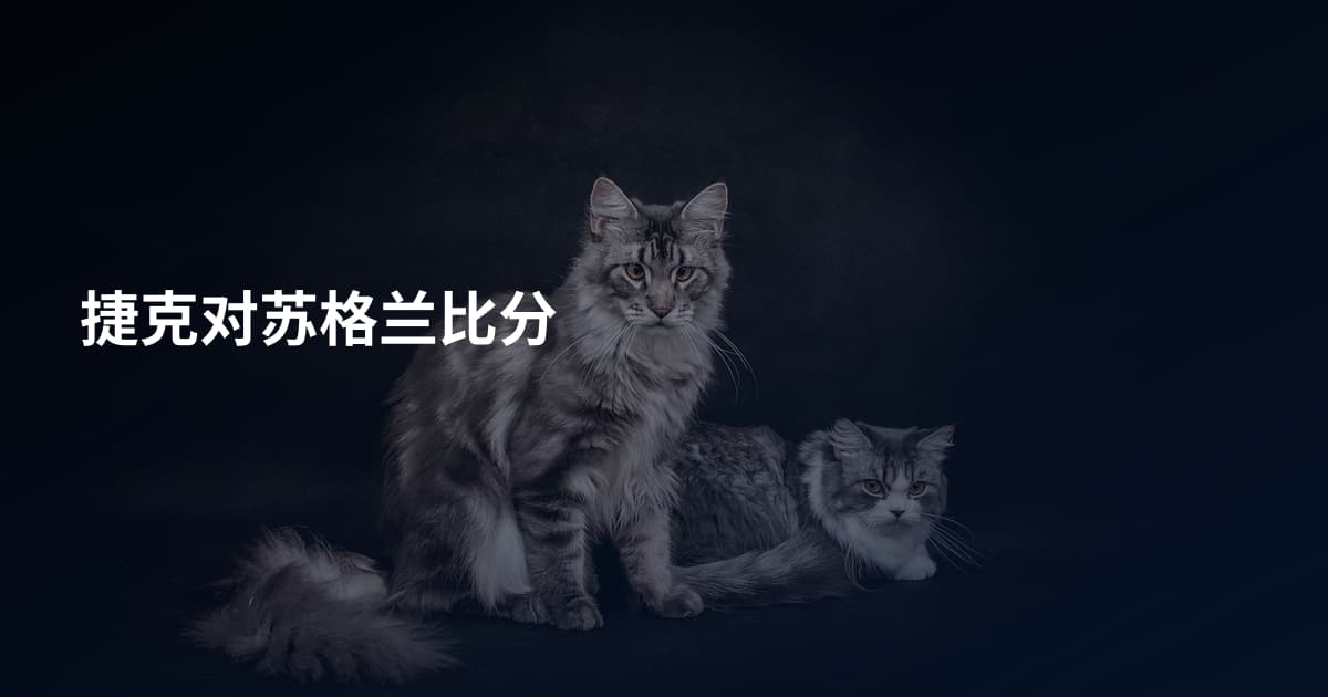 捷克对苏格兰比分