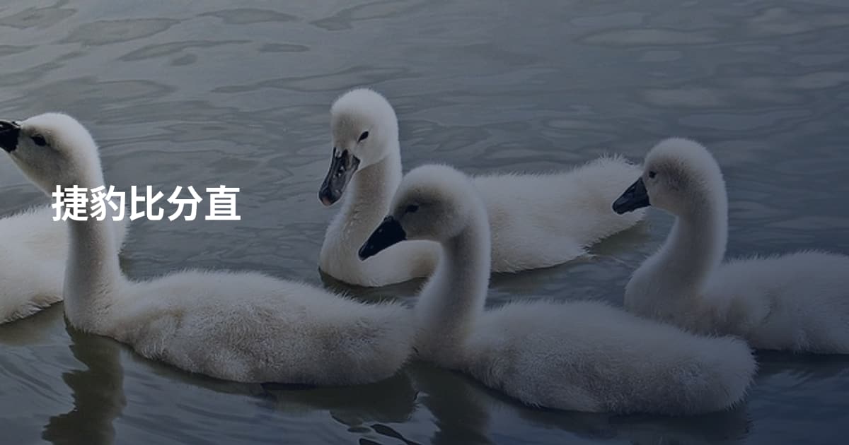 捷豹比分直