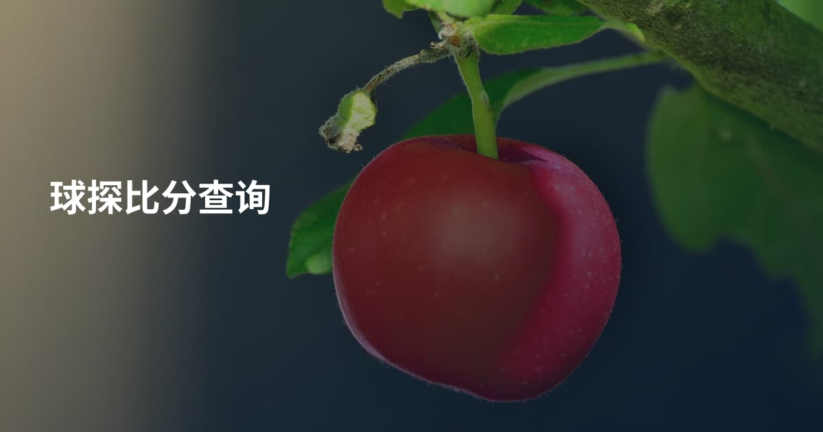 球探比分查询