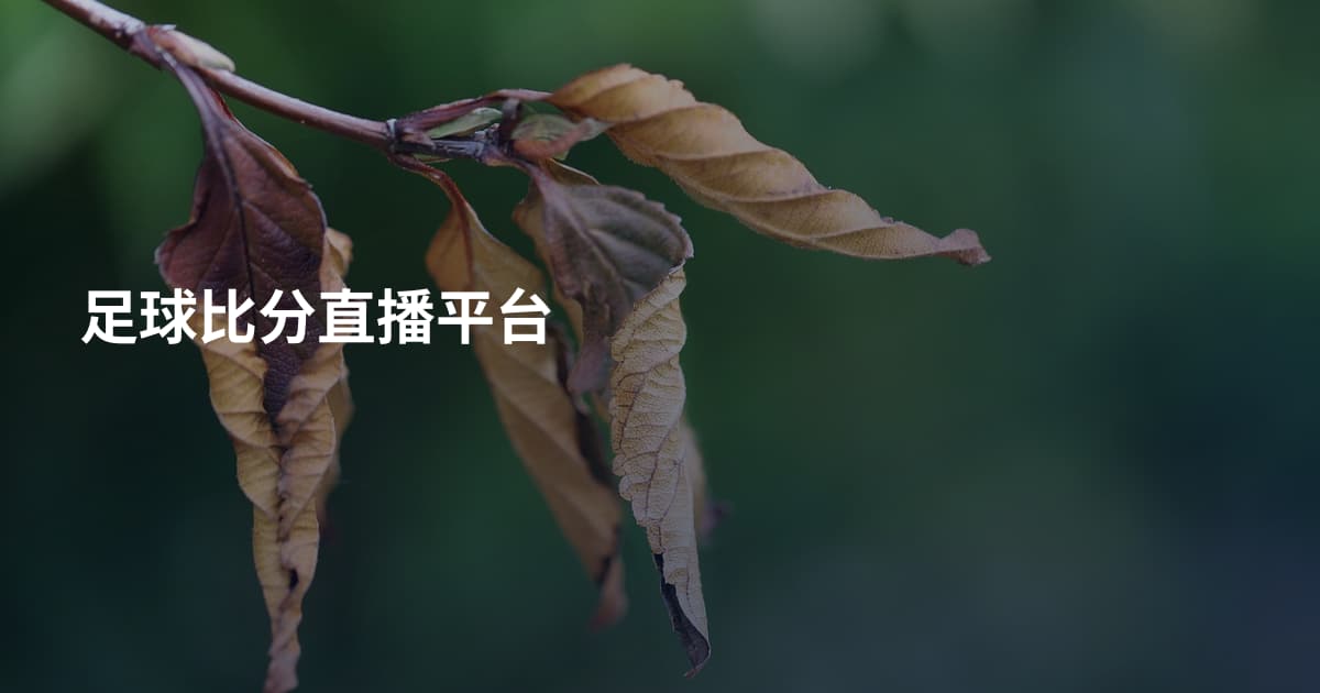 足球比分直播平台