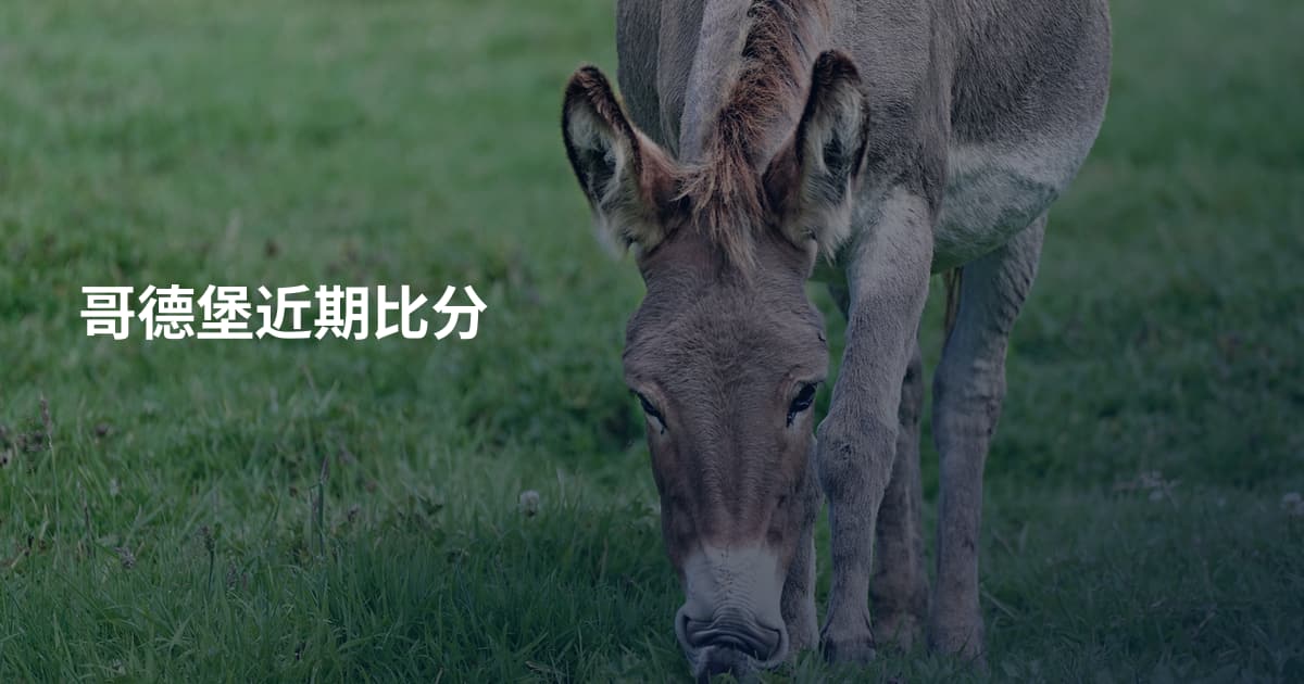 哥德堡近期比分