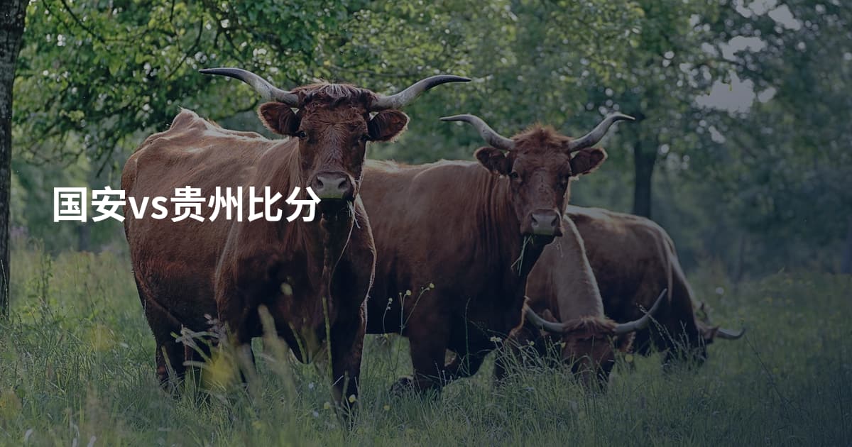 国安vs贵州比分