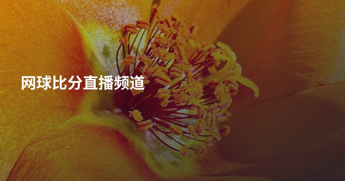 网球比分直播频道
