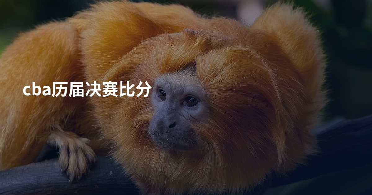 cba历届决赛比分