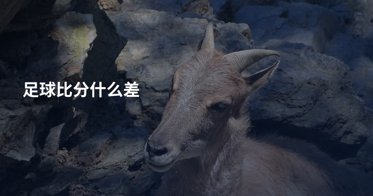 足球比分什么差