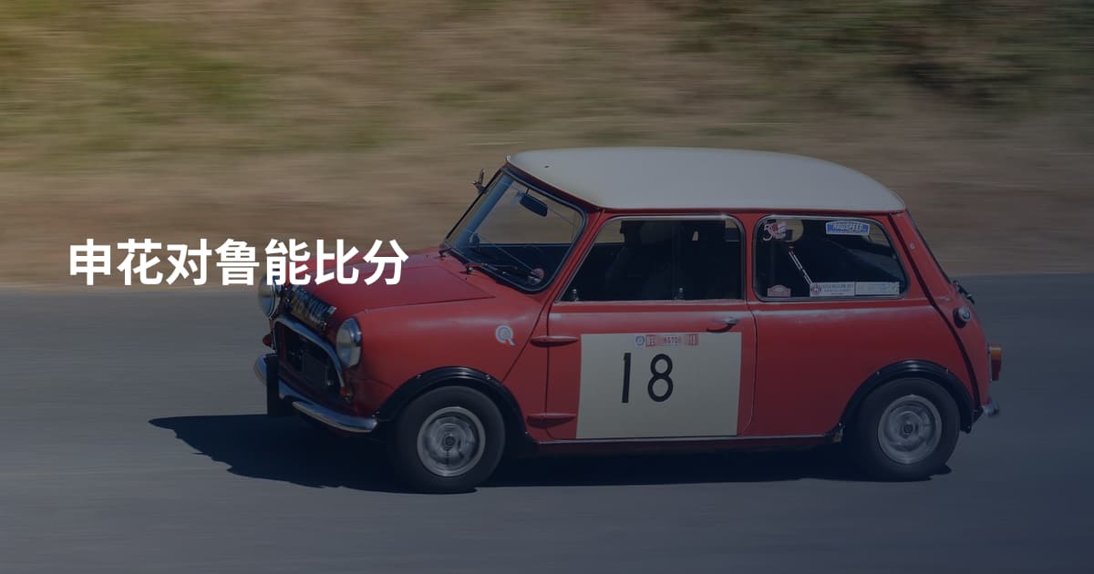 申花对鲁能比分