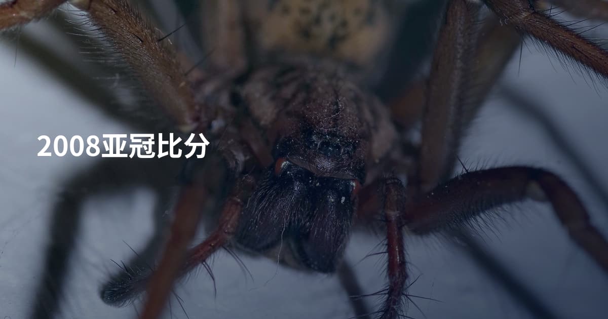 2008亚冠比分