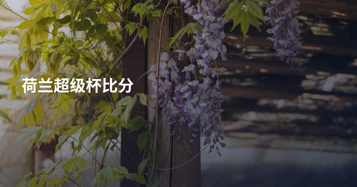 荷兰超级杯比分