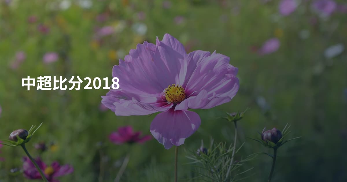 中超比分2018