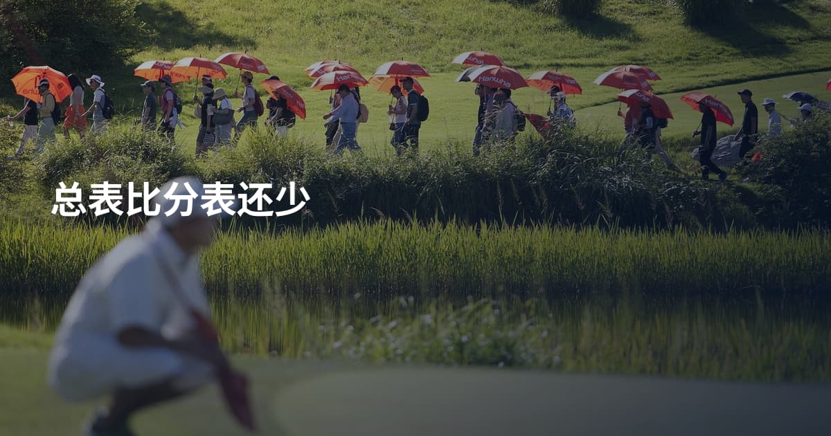 总表比分表还少