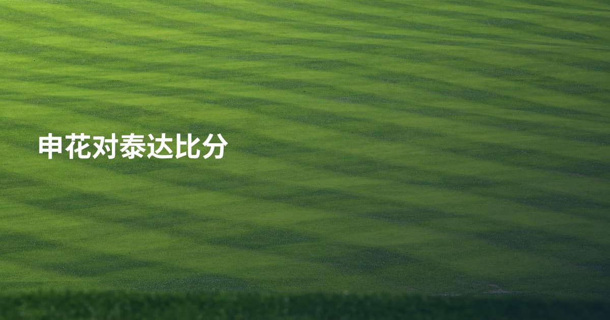 申花对泰达比分