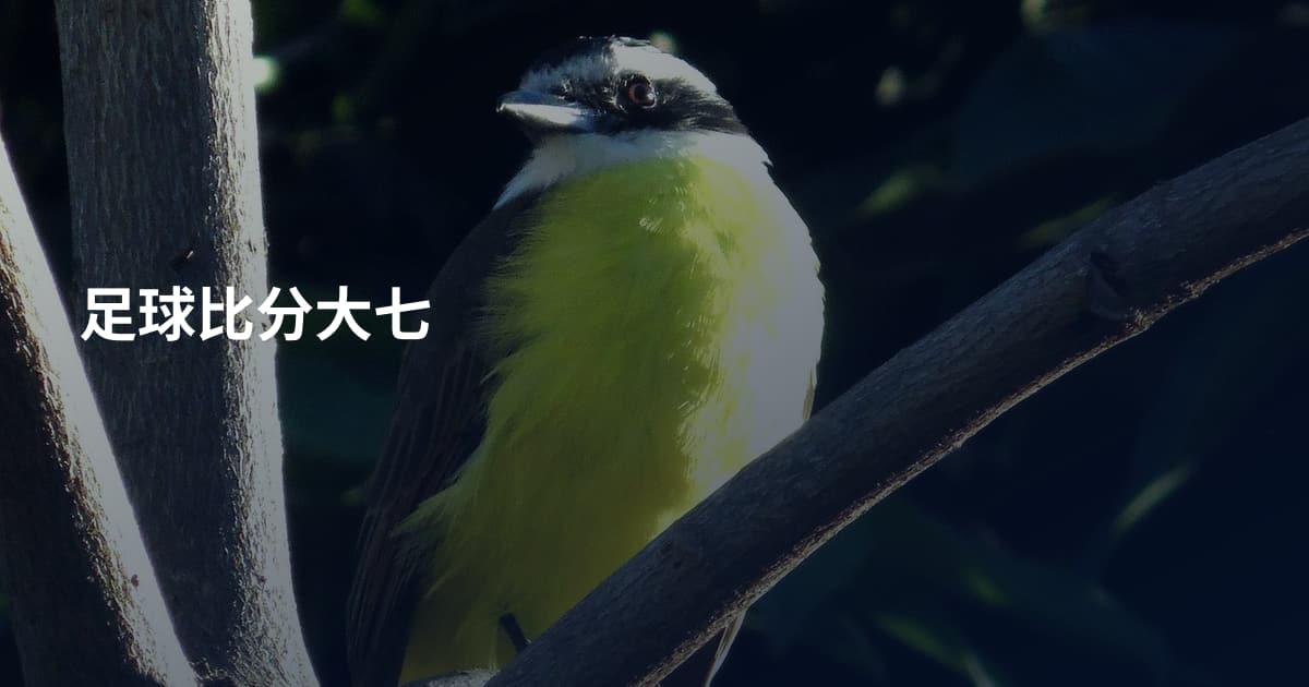 足球比分大七