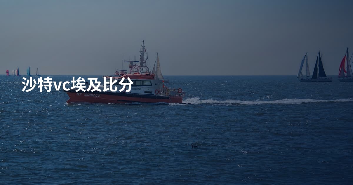 沙特vc埃及比分