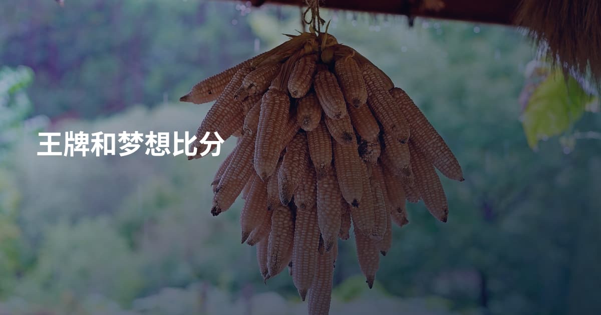 王牌和梦想比分
