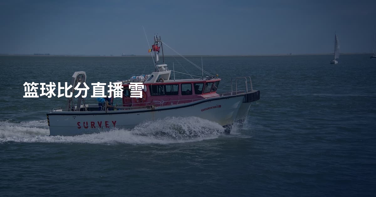 篮球比分直播 雪