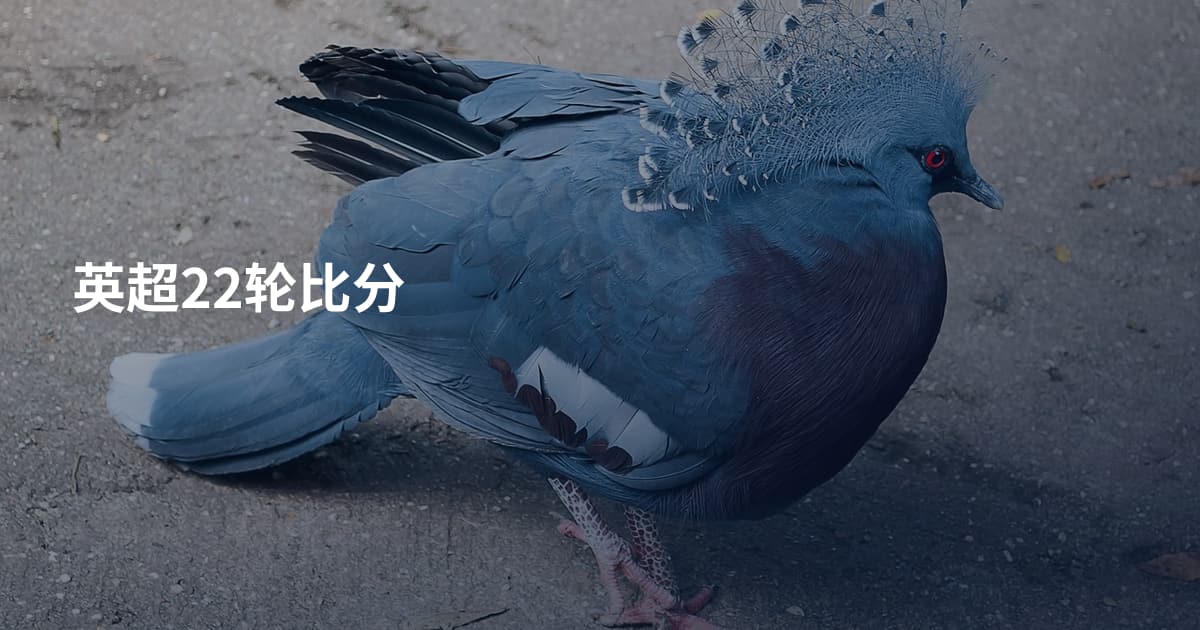 英超22轮比分
