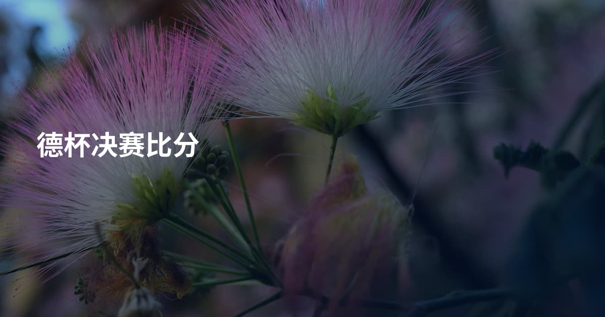 德杯决赛比分
