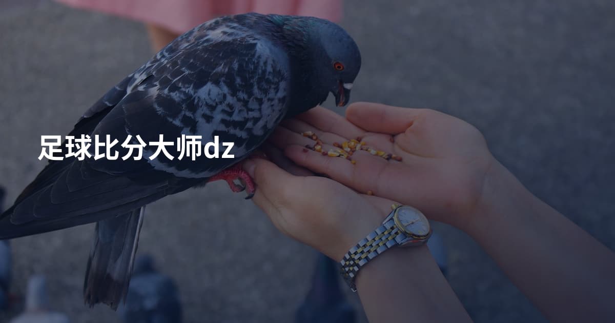 足球比分大师dz