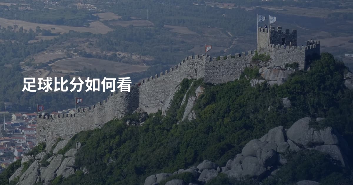 足球比分如何看
