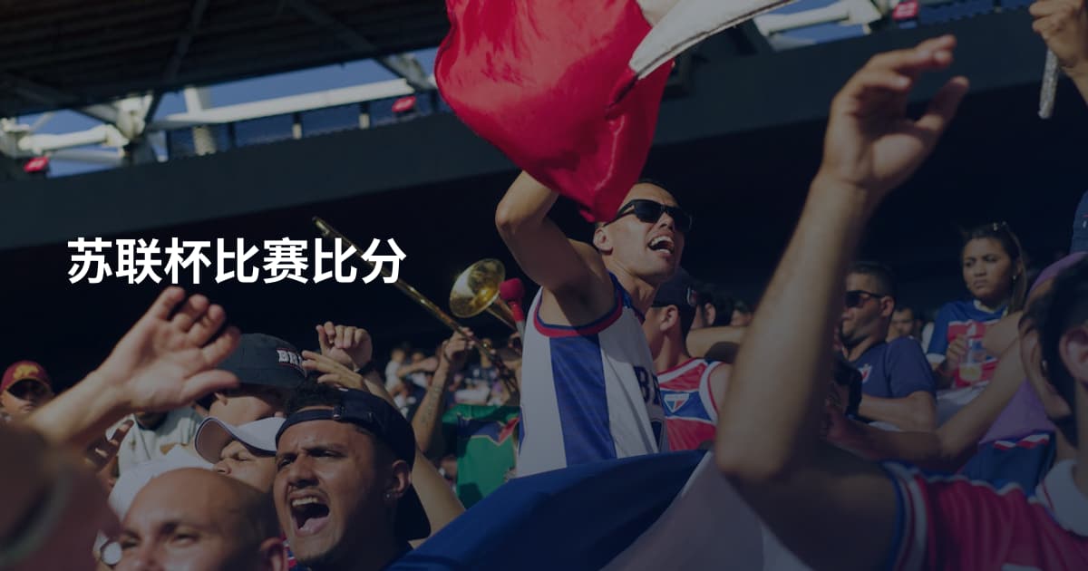 苏联杯比赛比分