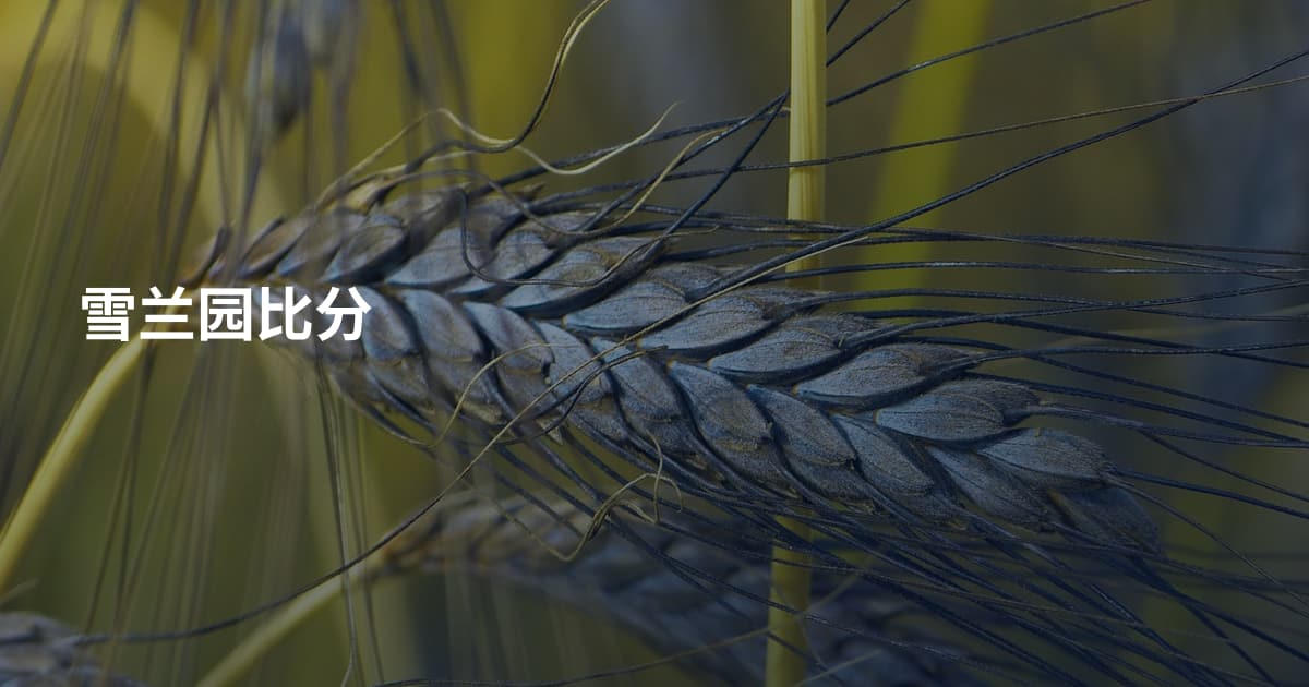雪兰园比分