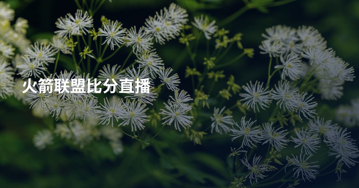 火箭联盟比分直播