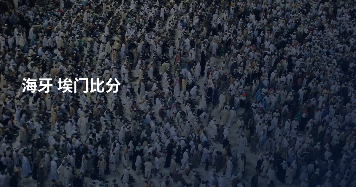 海牙 埃门比分