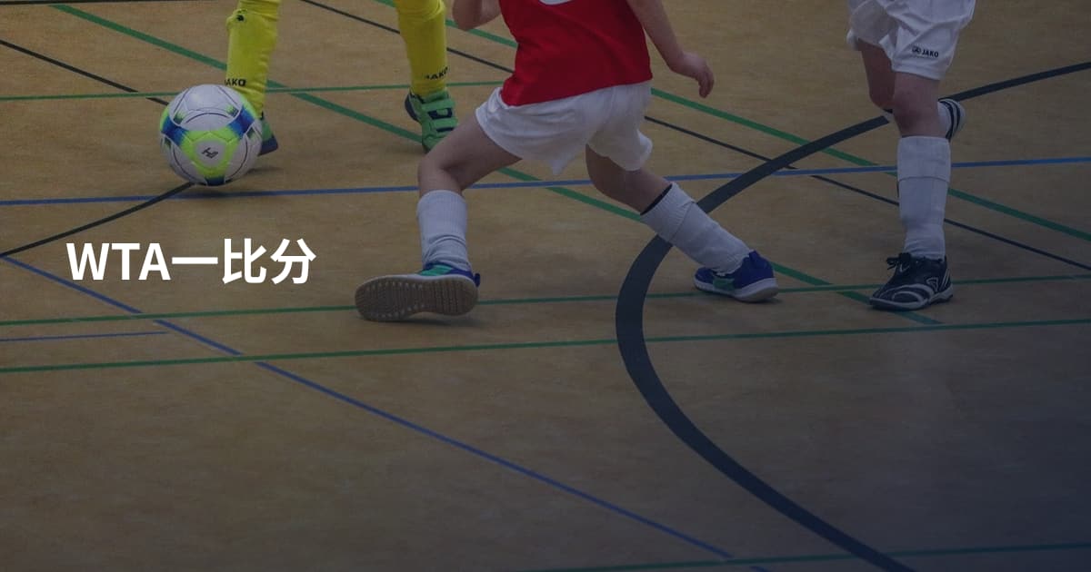 WTA一比分
