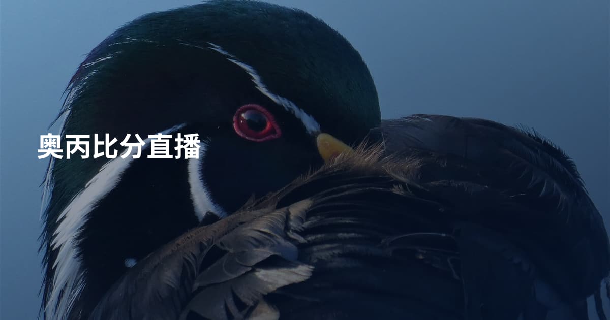 奥丙比分直播