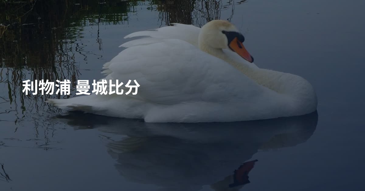 利物浦 曼城比分