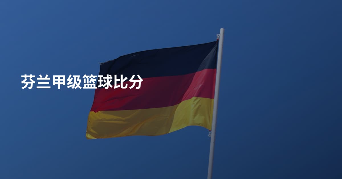 芬兰甲级篮球比分