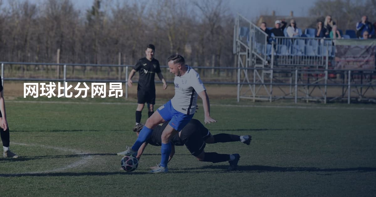网球比分网昂