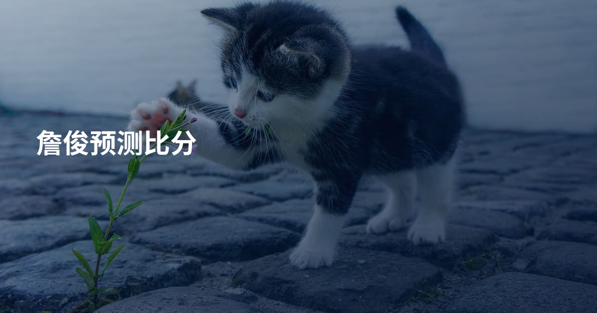 詹俊预测比分
