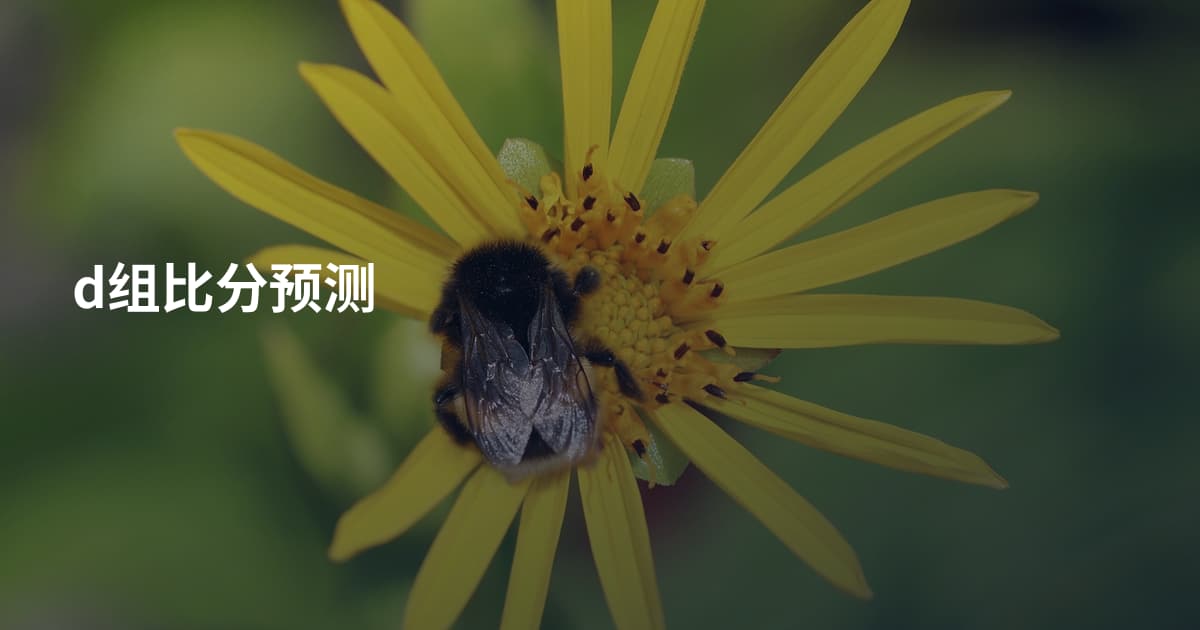d组比分预测