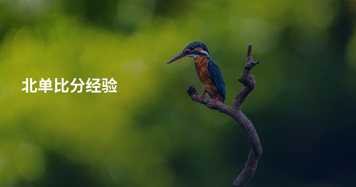 北单比分经验
