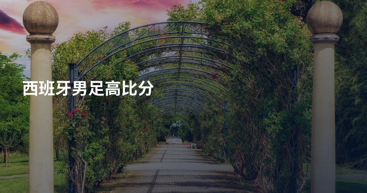 西班牙男足高比分