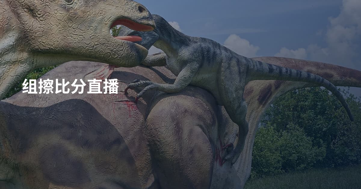 组擦比分直播