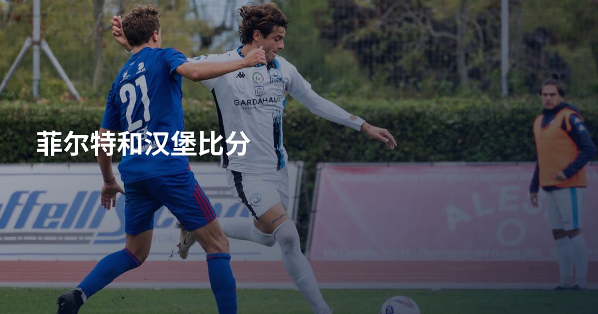 菲尔特和汉堡比分