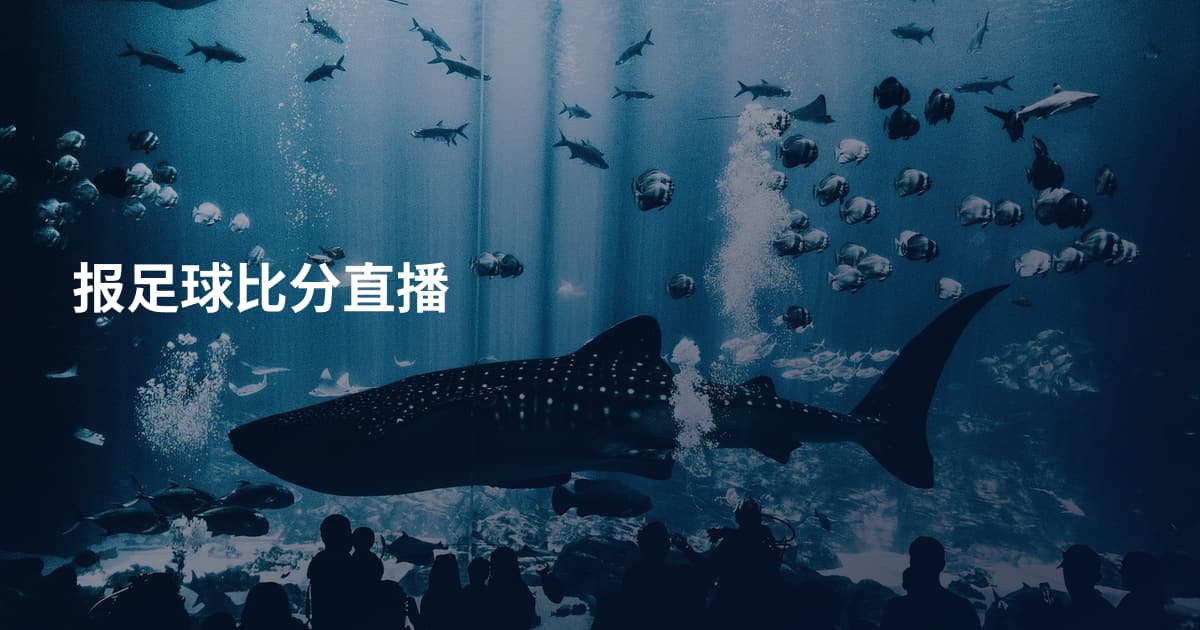 报足球比分直播