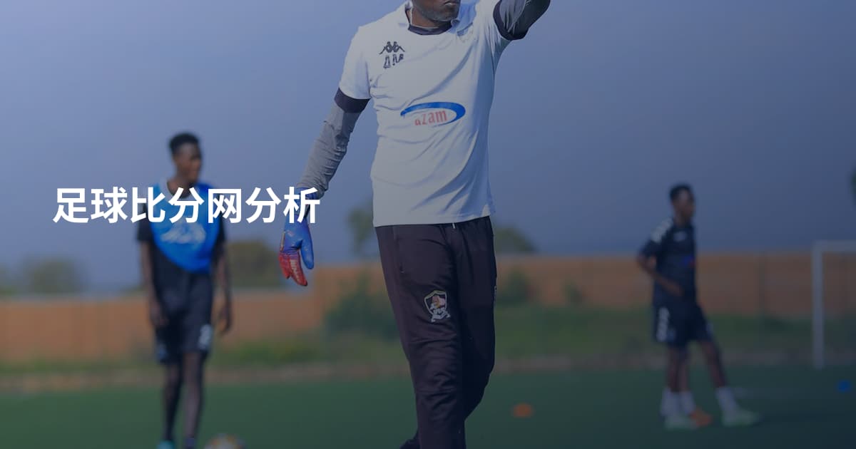 足球比分网分析