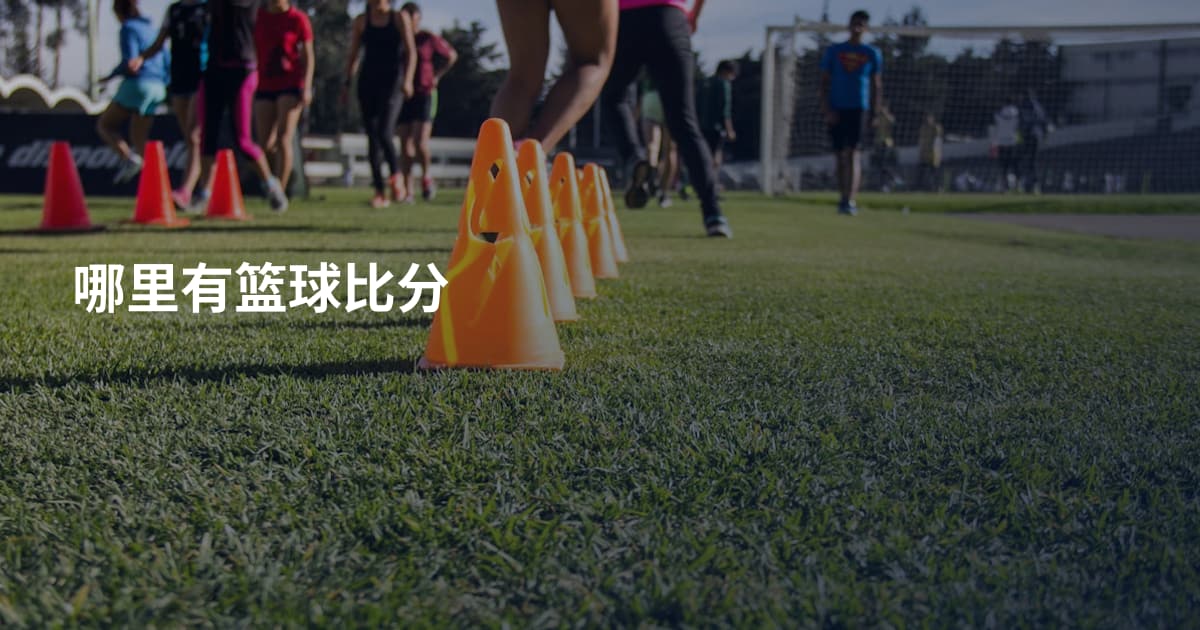哪里有篮球比分