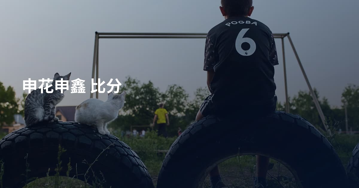 申花申鑫 比分