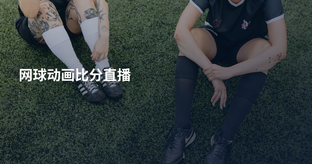 网球动画比分直播