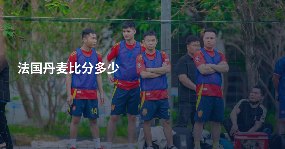 法国丹麦比分多少