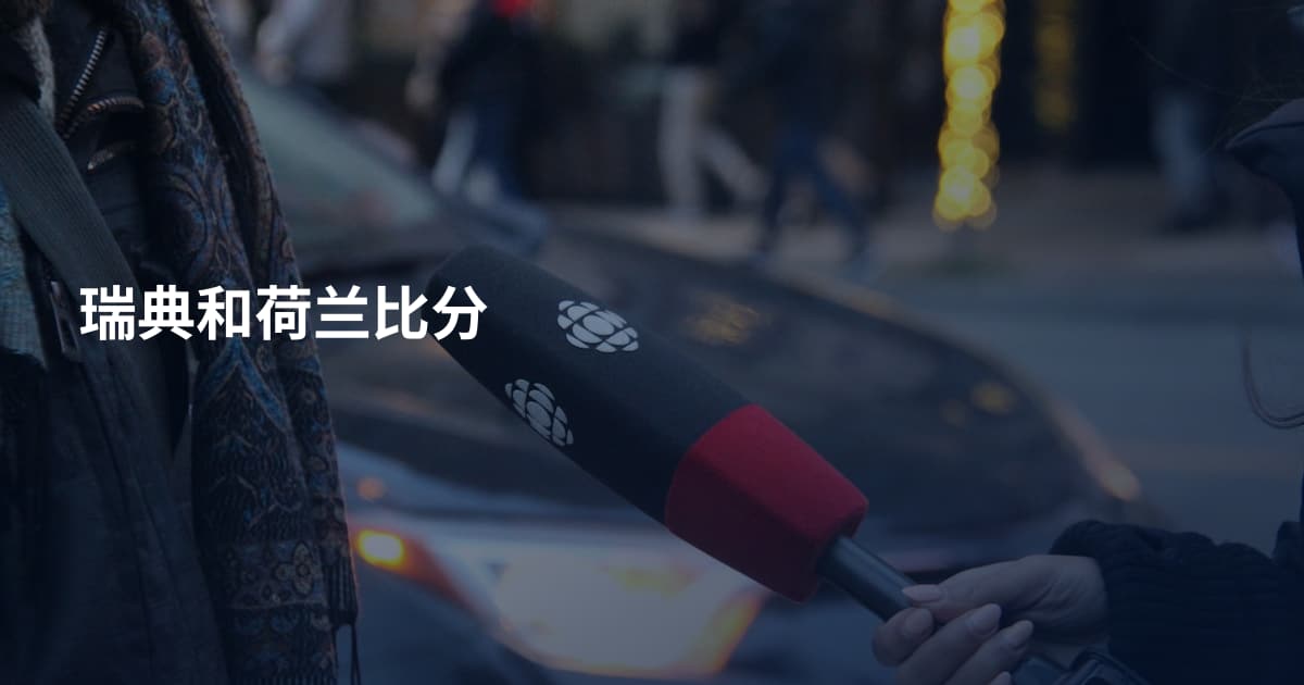瑞典和荷兰比分