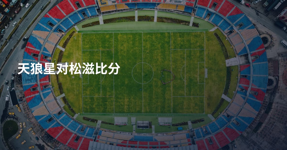 天狼星对松滋比分