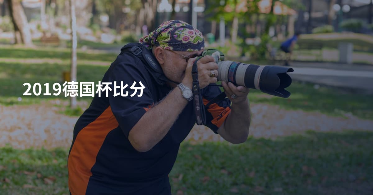 2019德国杯比分