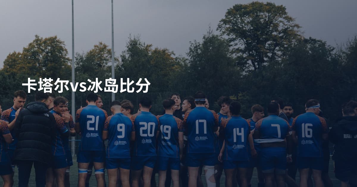 卡塔尔vs冰岛比分